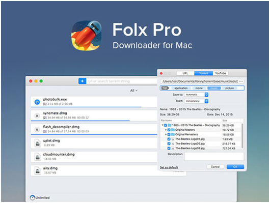 video downloader manager for mac